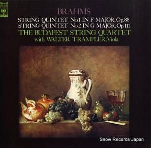 ֥ڥȸڻͽ ֥顼ॹڸ޽ն裱֡ SOCL1138