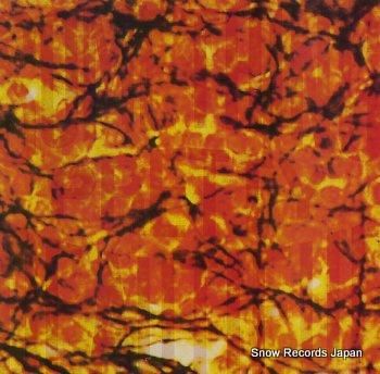 サムシング・プリティー・ビュー