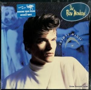 ֥󥭡 animal magic NFL1-8065