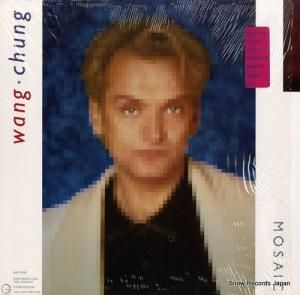 󡦥 mosaic GHS24115