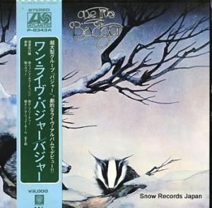 Х㡼 󡦥饤Х㡼 P-8343A