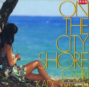 Ѿ on the city shore RAL-8805