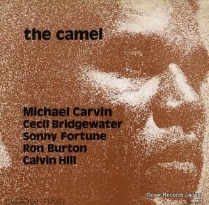 ޥ롦ӥ the camel RJ-7113
