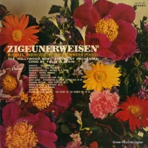 ޥ롦ӥ ͥ磻󡧥ʽ CA.8132