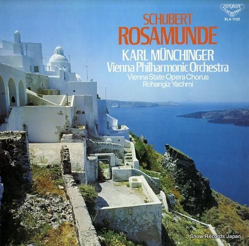 カール・ミュンヒンガー シュー