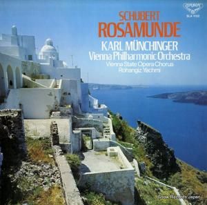 롦ߥҥ󥬡 塼٥ȡ֥ǡ SLA1132