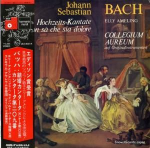 ꡼ Хåϡ뺧󥿡󥿡202 ULX-3051-H