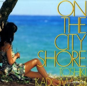 Ѿ on the city shore RAL-8805