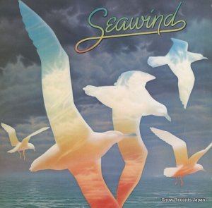  seawind SP-4824