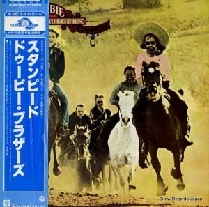 ɥӡ֥饶 ԡ P-6538W