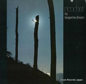 󥸥󡦥ɥ꡼ ricochet VI2044