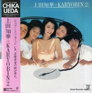 βڡKARYOBIN 2 L-10161E