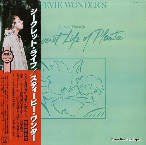 スティービー・ワンダー シーク