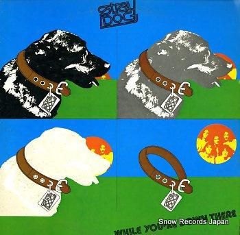 ストレイ・ドッグ 迷える犬 P