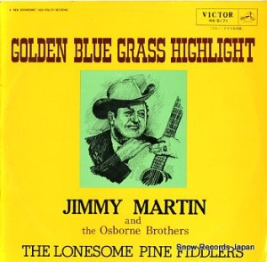 ֥롼饹̾ golden blue grass highlight RA-5171
