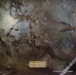 コクトー・トゥインズ head over heels CAD313