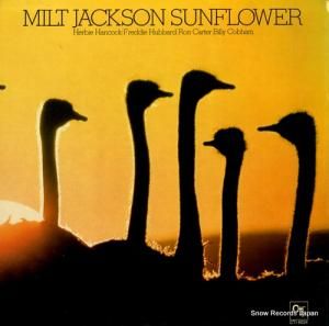 ߥȡ㥯 sunflower CTI6024