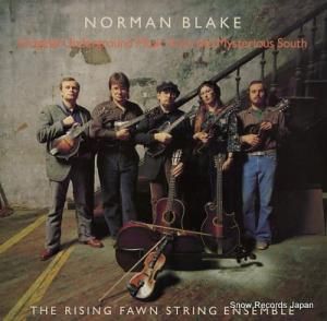 Ρޥ󡦥֥쥤 original underground music from the mysterious south ROUNDER0166