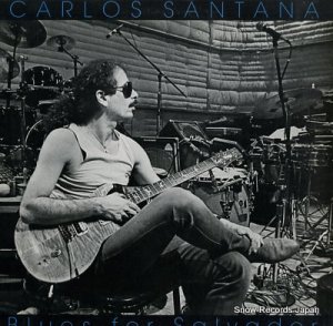󥿥 blues for salvador FC40875