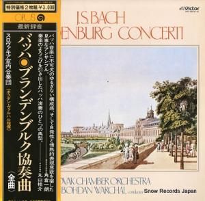  Хåϡ֥ǥ֥륯ն VIC-5513