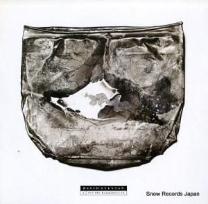 ǥåɡ åȡϥåԥͥ VJS-12011