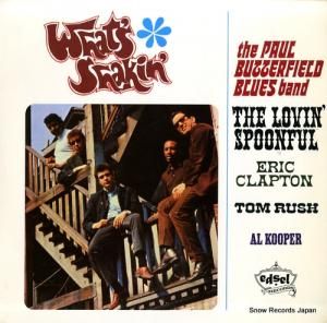 V/A what's shakin' ED249