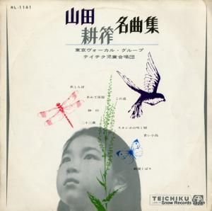 롦롼 Ĺ̾ʽ NL-1161