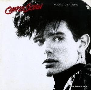 㡼꡼ȥ ԥ㡼եץ쥸㡼 P-13250