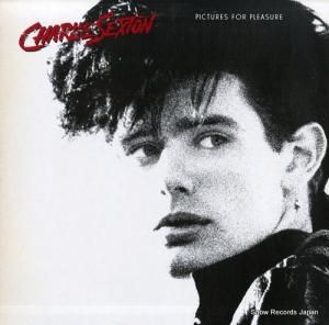 㡼꡼ȥ ԥ㡼եץ쥸㡼 P-13250