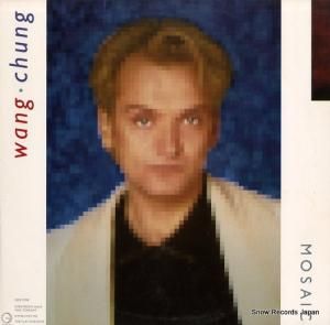 󡦥 mosaic GHS24115