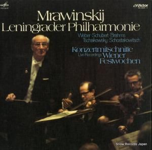 եˡ󥹥 Υ󥹥 VIC-2324