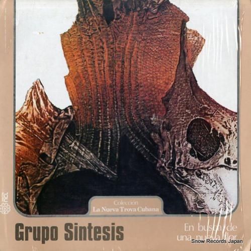 GRUPO SINTESIS