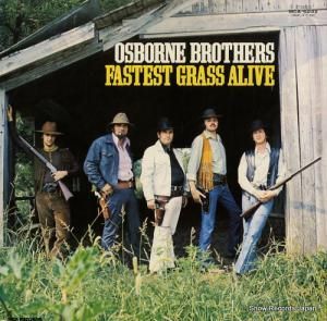 ܡ󡦥֥饶 եƥȡ饹饤 MCA-6032