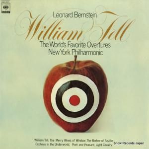 ʡɡС󥹥 ꥢࡦƥʡڥʽ 23AC607