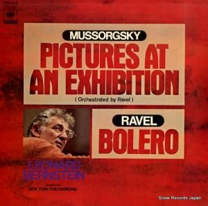 ʡɡС󥹥 ॽ륰ԡȶʡŸγ SOCL1013