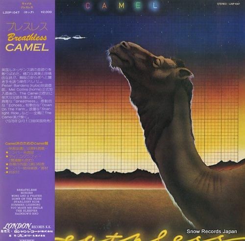 キャメル ブレスレス L20P