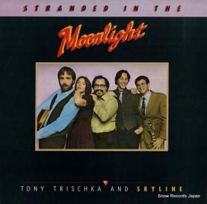 ȥˡȥꥷ奫饤 stranded in the moonlight FF304