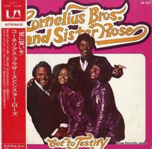 �����ͥꥢ�����֥饶�����ȥ��������������� ���������� SR883