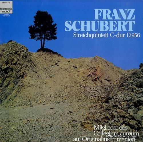 コレギウム・アウレウム合奏団員