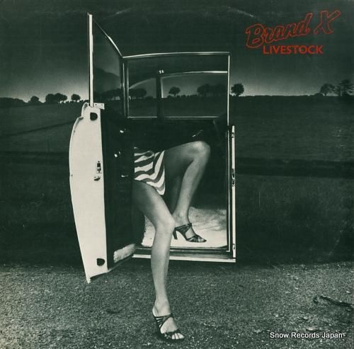 ブランドX livestock