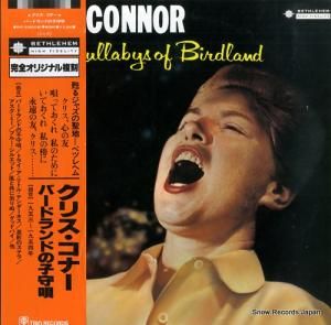 ꥹʡ СɥɤλҼ鱴 PAP-23003