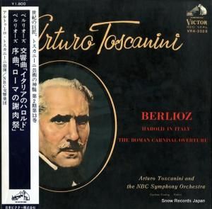 ȥȥˡ ٥ꥪʡ֥ꥢΥϥɡ VRA-2028