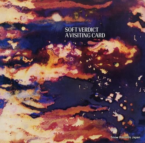 ソフト・ヴァーディクト ヴィジ