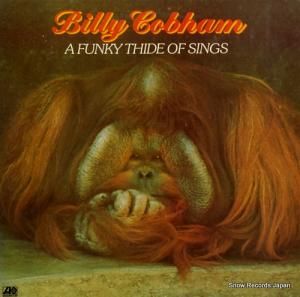 ӥ꡼֥ϥ ե󥭡ɡ֡󥰥 P-10079A