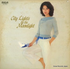 һ city lights by the moonlight RVL-8025