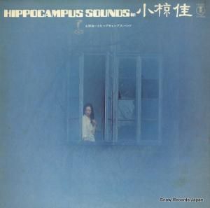 ĹȥҥåץץХ hippocampus sounds in ̺ AX-6022