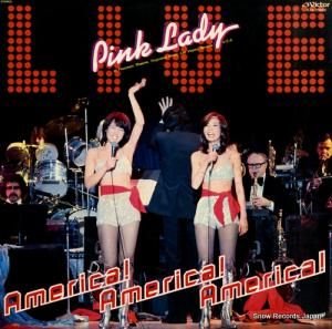 ԥ󥯡ǥ ꥫꥫꥫ SJX-20068