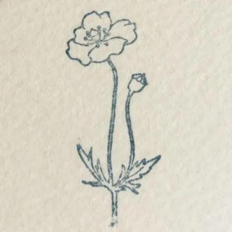 <img class='new_mark_img1' src='https://img.shop-pro.jp/img/new/icons52.gif' style='border:none;display:inline;margin:0px;padding:0px;width:auto;' />HUTTEPAPER WORKSۥ/ݥԡ(105)β