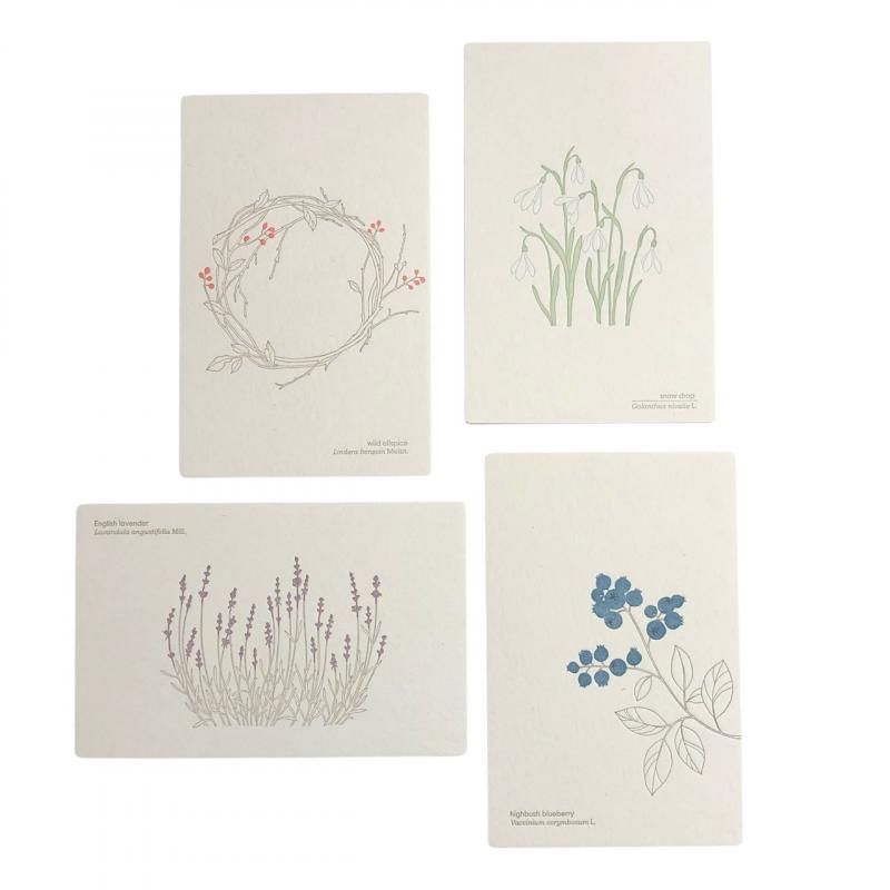 HUTTE PAPER WORKS】活版印刷のポストカード5 - hina®～盛岡の