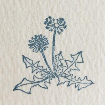 HUTTEPAPER WORKSۥ/ݥ(117)β